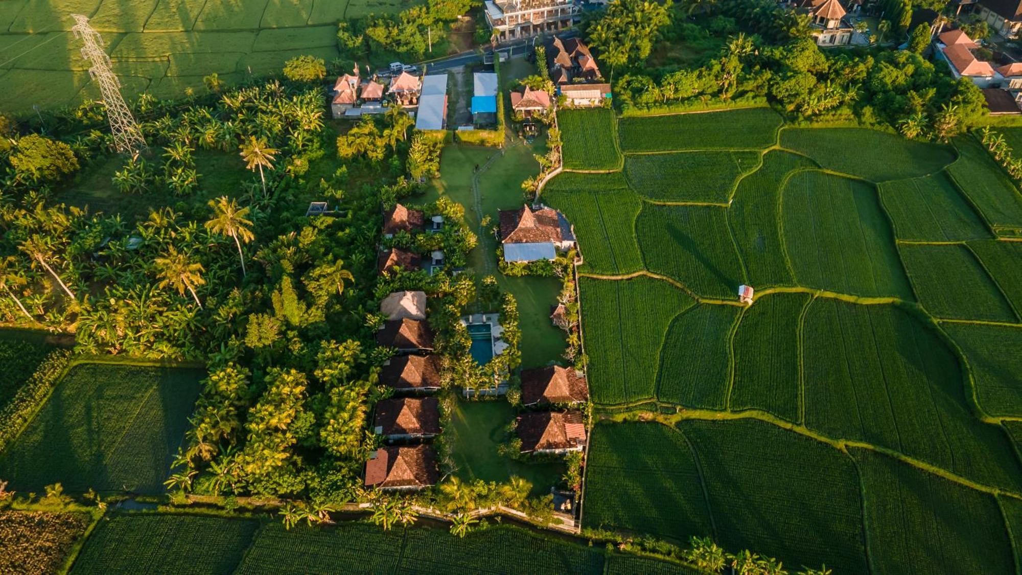 Aswanaya Villas Ubud エクステリア 写真